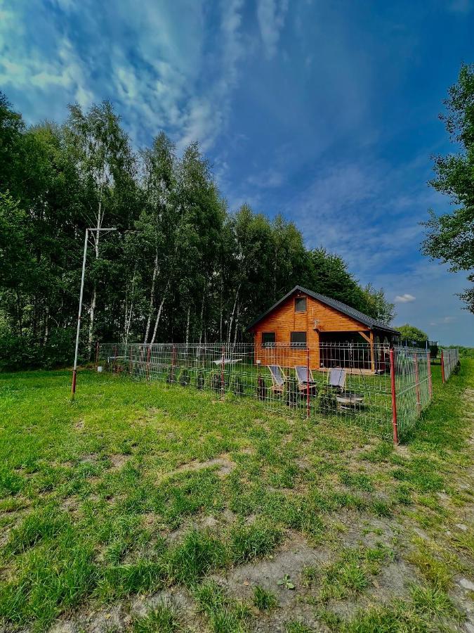 Domek Letniskowy Pod Brzozami Na Roztoczu Wsrod Lasow, Zamosc, Krasnobrod, Zwierzyniec Adamow  Eksteriør billede