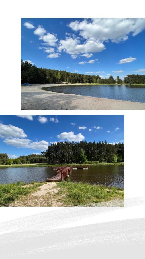 Domek Letniskowy Pod Brzozami Na Roztoczu Wsrod Lasow, Zamosc, Krasnobrod, Zwierzyniec Adamow  Eksteriør billede