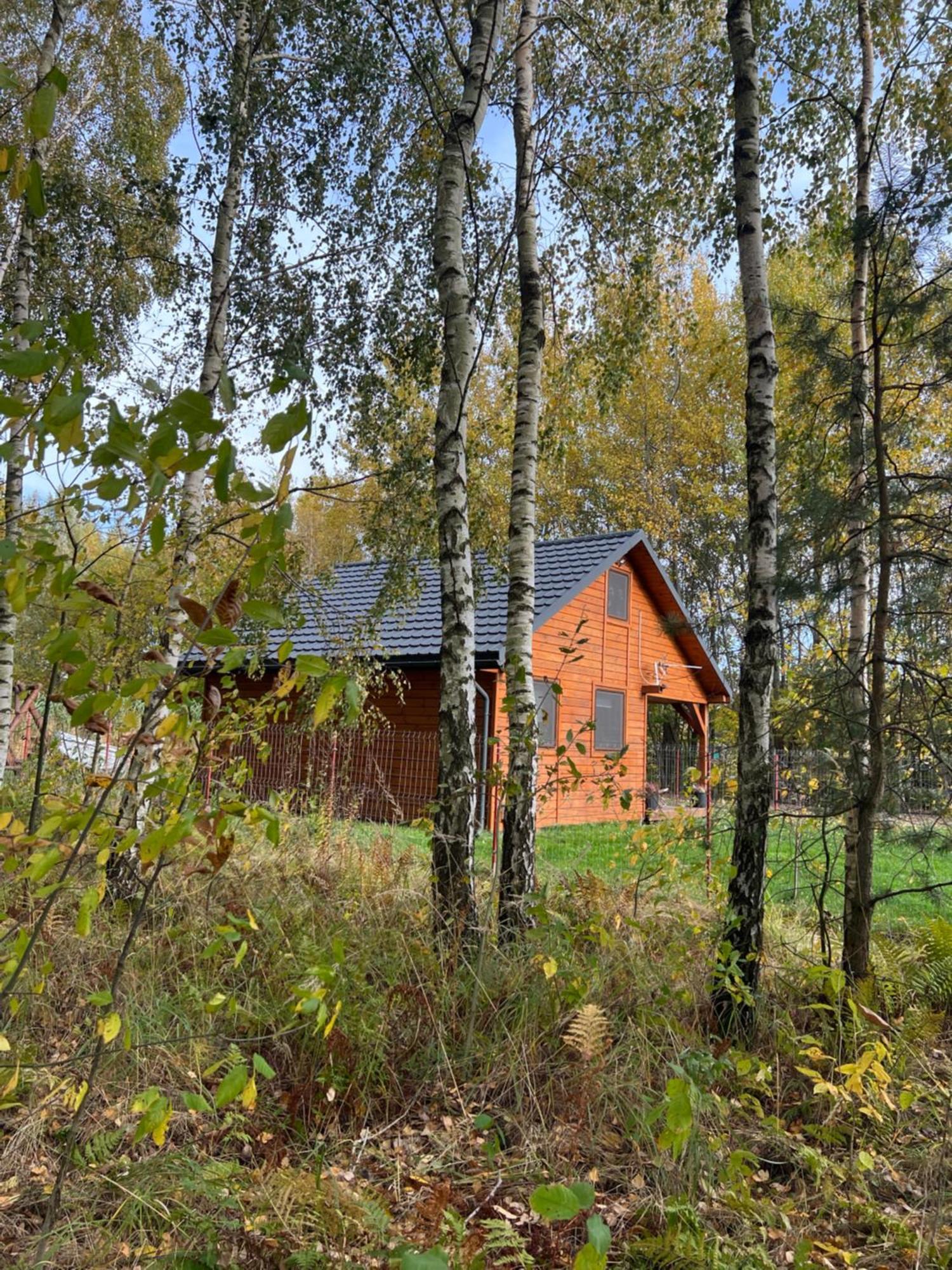 Domek Letniskowy Pod Brzozami Na Roztoczu Wsrod Lasow, Zamosc, Krasnobrod, Zwierzyniec Adamow  Eksteriør billede